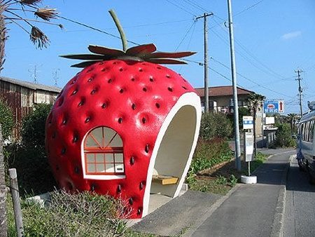 草莓候车亭